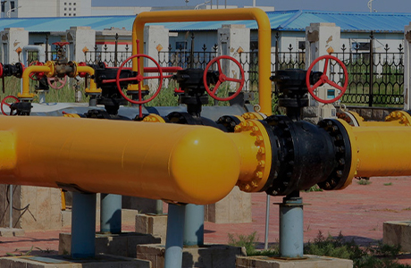 Syarikat kumpulan itu telah memperoleh lesen pengeluaran untuk produk industri